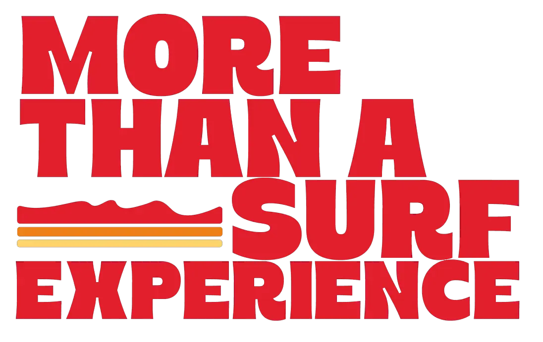 more-than-surf-experience
